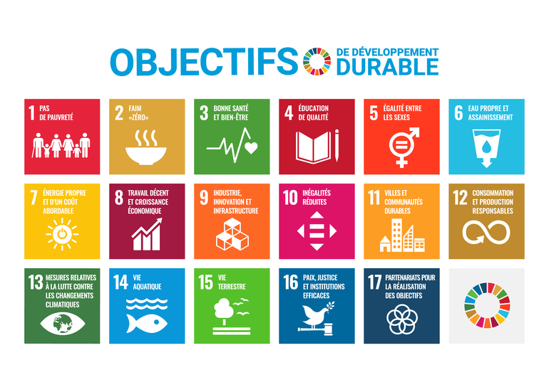 Les 17 objectifs de développement durable (ODD)
