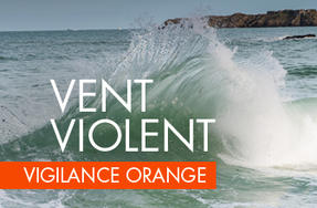 Tempête Miguel - Alerte météo : la Loire-Atlantique est placée en alerte orange pour vents violents